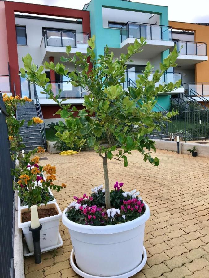 Torrenormanna Prestige House Near Cefalu Mandra Capreria Екстер'єр фото